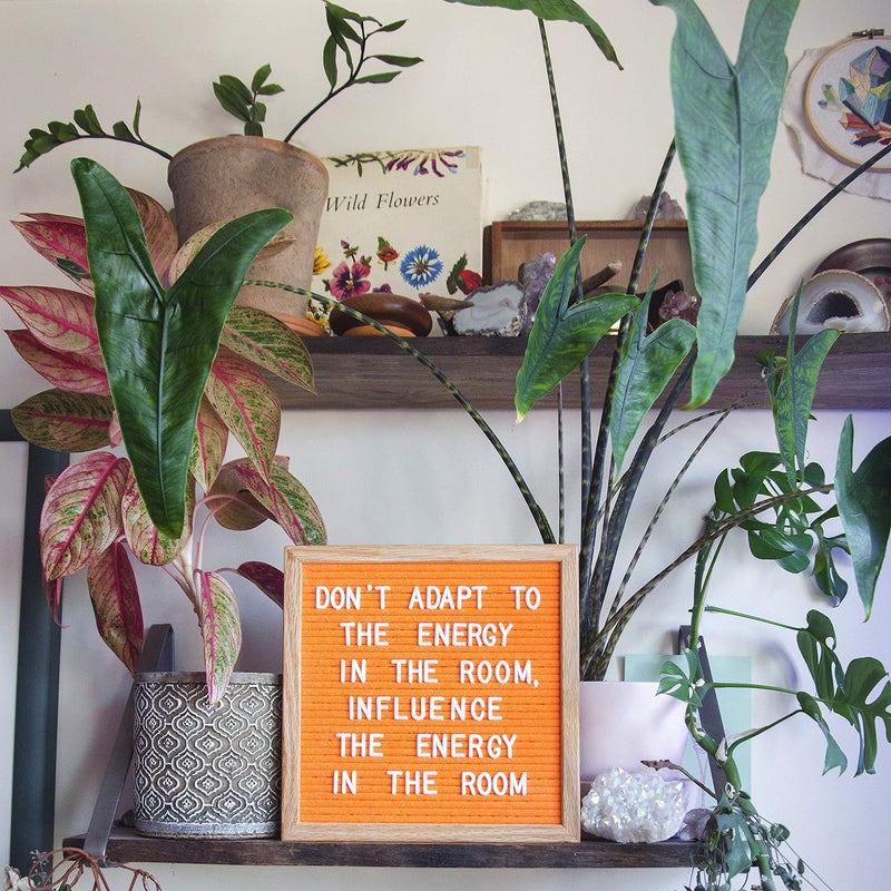 Felt Like Sharing Square Letter Board (Neon Orange Felt - 10â€x10â€) â€“ Changeable Message Board with 3 Sets of Felt Board Letters for Home & Aesthetic Room Decor â€“ Wall Letterboard Signs In Oak Frame - Image 3